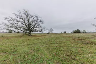 Tbd County Road 4930, Quitman, TX 75783 - Photo 11