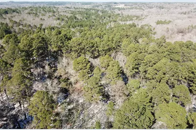 00 County Road 3147, Tyler, TX 75706 - Photo 9