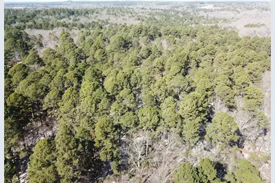00 County Road 3147, Tyler, TX 75706 - Photo 7