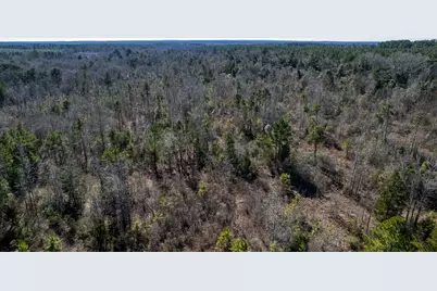 Tbd County Road 2752, Naples, TX 75568 - Photo 11