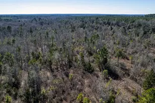 Tbd County Road 2752, Naples, TX 75568 - Photo 11