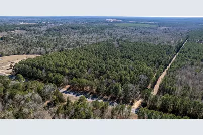 Tbd County Road 2752, Naples, TX 75568 - Photo 3