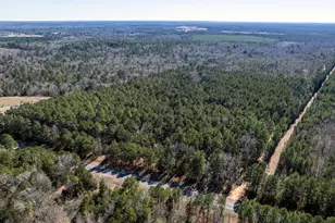 Tbd County Road 2752, Naples, TX 75568 - Photo 3