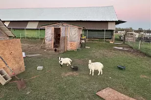 1524 VZ County Rd 3814, Wills Point, TX 75169 - Photo 19