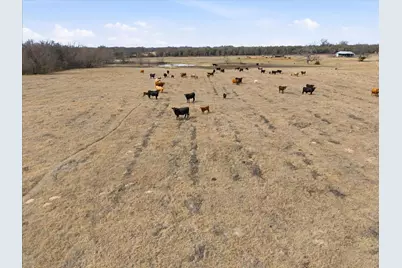 560 Rs County Road 3417, Emory, TX 75440 - Photo 17
