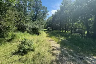 329 S Skyline Ct, Cresson, TX 76035 - Photo 11
