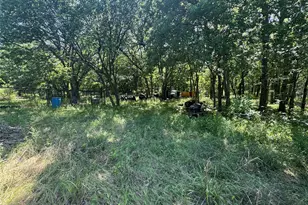 329 S Skyline Ct, Cresson, TX 76035 - Photo 7