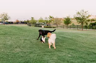 1812 Narita Bnd, Fort Worth, TX 76008 - Photo 21