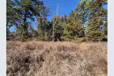 22442 Shady Trail, Flint, TX 75762 - Photo 7