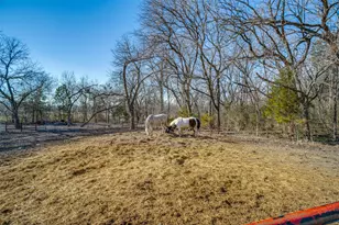 2111 Private Road 5499, McKinney, TX 75071 - Photo 7