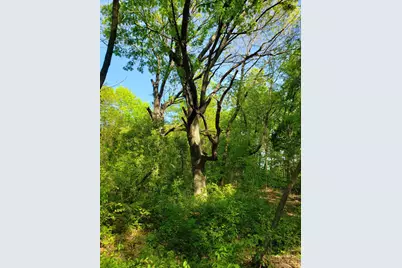 5310 Hidden Court, Garland, TX 75043 - Photo 7