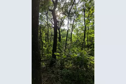 5310 Hidden Court, Garland, TX 75043 - Photo 9