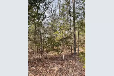 Tbd Wildwood, Murchison, TX 75778 - Photo 3