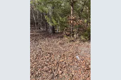 Tbd Wildwood, Murchison, TX 75778 - Photo 1