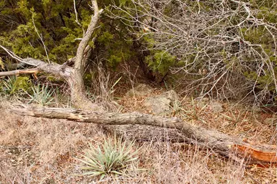 5732 Highland Drive, Granbury, TX 76048 - Photo 9