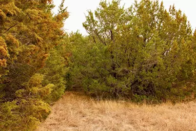 5732 Highland Drive, Granbury, TX 76048 - Photo 7