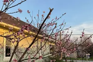 818 W Richmond Ave, Fort Worth, TX 76110 - Photo 3