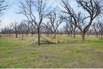 1424 Cirrus Loop, Granbury, TX 76049 - Photo 13