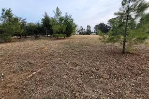 10109 Fm 410 Hwy N, Detroit, TX 75436 - Photo 33