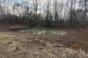 10109 Fm 410 Hwy N, Detroit, TX 75436 - Photo 29