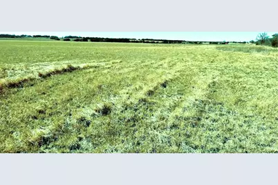 Tbd Cr 3230, Hico, TX 76457 - Photo 5