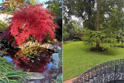 4537 Gilbert Drive, Shreveport, LA 71106 - Photo 27