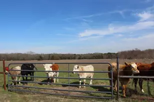 2488 Rs County Road 1525, Point, TX 75472 - Photo 1