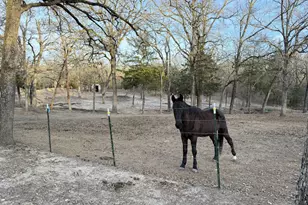 9789 Sunrise Blvd, Quinlan, TX 75474 - Photo 37