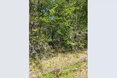 Tbd Lazy Launch Lane, Mabank, TX 75156 - Photo 1