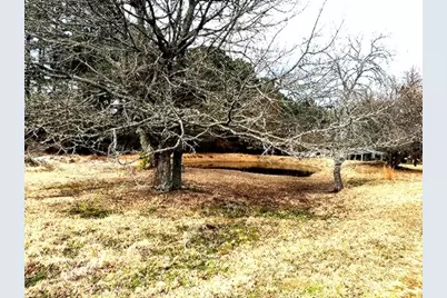 1525 Mansfield Road, Reno, TX 75462 - Photo 33