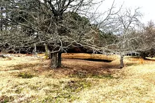 1525 Mansfield Rd, Reno, TX 75462 - Photo 33