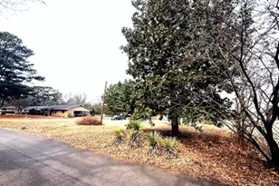 1525 Mansfield Rd, Reno, TX 75462 - Photo 5