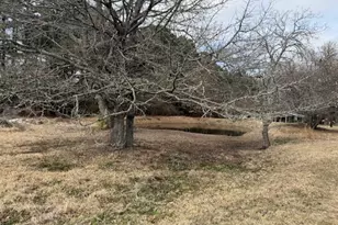 1525 Mansfield Rd, Reno, TX 75462 - Photo 19