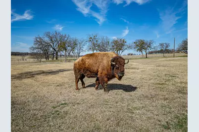 608 County Road 914, Burleson, TX 76028 - Photo 39