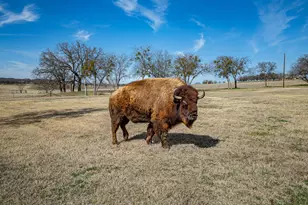 608 County Rd 914, Burleson, TX 76028 - Photo 39