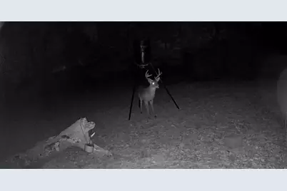 127 Farm Road 1499, Paris, TX 75460 - Photo 27