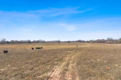 Tbd Vz County Road 2317 Tract 3, Canton, TX 75103 - Photo 15