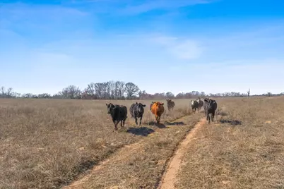 Tbd Vz County Road 2317 Tract 3, Canton, TX 75103 - Photo 17