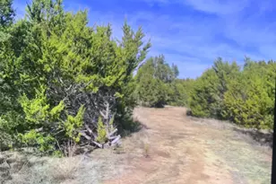 5034 Farm Market, Hico, TX 76457 - Photo 23