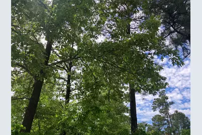 Tbd Ridgeline Loop, Winona, TX 75792 - Photo 5