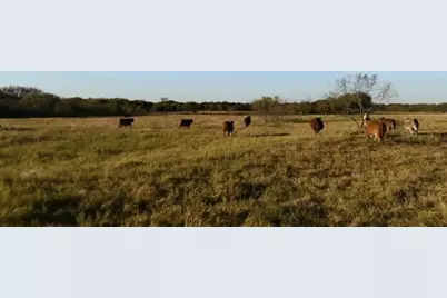 1179 E Fm 813, Palmer, TX 75152 - Photo 7