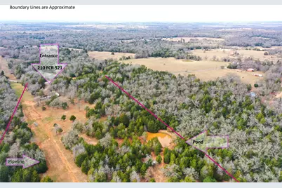 210 Fcr 521, Fairfield, TX 75840 - Photo 11