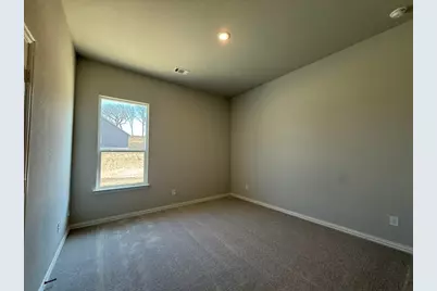 409 Hayden Faith Court, Springtown, TX 76082 - Photo 19