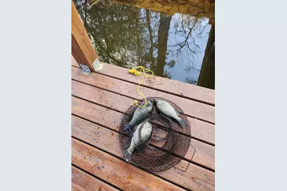 11249 Hamrick Lake Road, Winona, TX 75792 - Photo 5