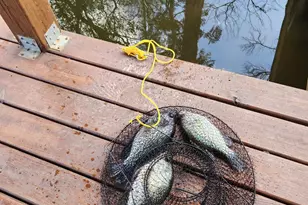 11249 Hamrick Lake Rd, Winona, TX 75792 - Photo 5