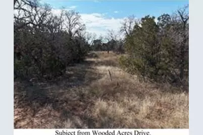 Tbd Lot 169 Ph 3 Wooded Acres, Palo Pinto, TX 76067 - Photo 3