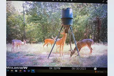 250 County Road 45700, Detroit, TX 75436 - Photo 21