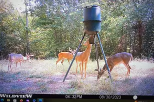 250 County Rd 45700, Detroit, TX 75436 - Photo 21