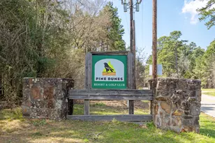 230 Cr 3191, Frankston, TX 75763 - Photo 3