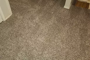 12141 Shine Ave, Rhome, TX 76078 - Photo 39